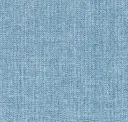 Mountain Bluebird