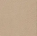 5031 Beige