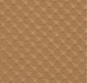5007 Gold