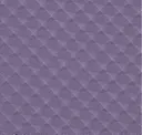 5011 Purple-Violet
