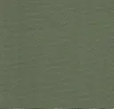 747 Dark Green