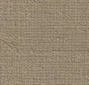 205 Light Brown