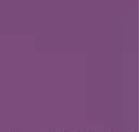 238 Purple
