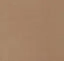 3220 Beige