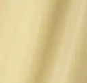 4261 Yellow