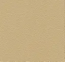 3062 Gold