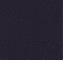 3067 Violet