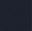 3068 Blue