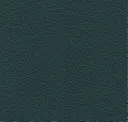 3070 Green