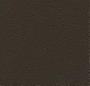 3071 Gold Black