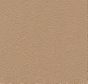 4302 Beige Gold