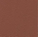 4304 Brown Copper