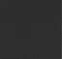 4421 Black