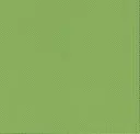 4904 Granny Smith Green