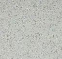 Tundra