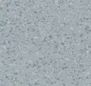 Silver Grey