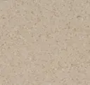 Sandy