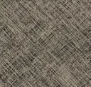 Zing Charcoal