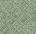 Zoom Green