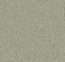 Flash Green