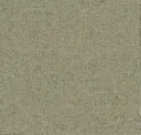 Zing Green