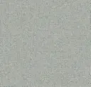 Zoom Teal