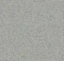 Zoom Blue