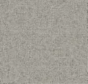 Zoom Charcoal