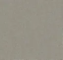 Pop