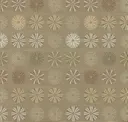 Fossil