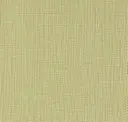Eucalyptus