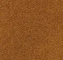 Butterscotch