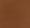 Chestnut