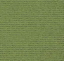 Moss