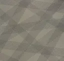 Steel