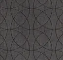 Iron