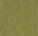 Eucalyptus