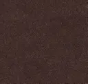 Bark