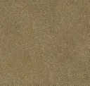Oat