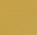 Gobi