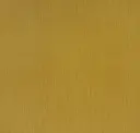 Maize
