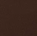 Cocoa