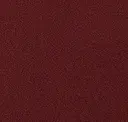 Currant