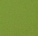Stem