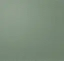 Celadon