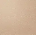 Parchment