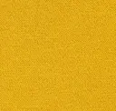 Maize