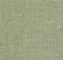 Sagebrush