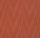 Red Coral