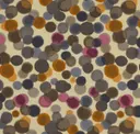 Gelato
